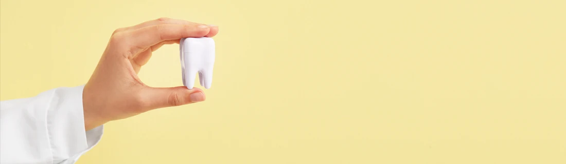 A person holding a large fake tooth.